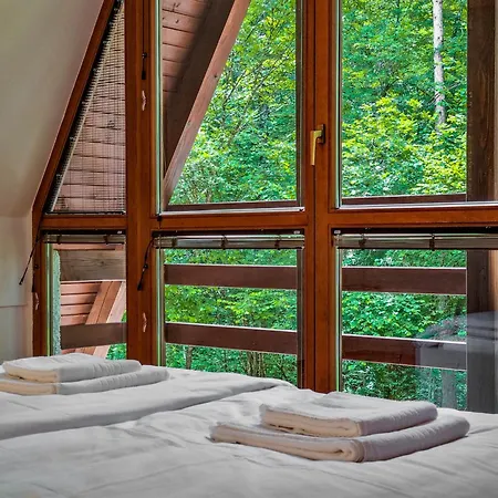 Jakob * بوويتش